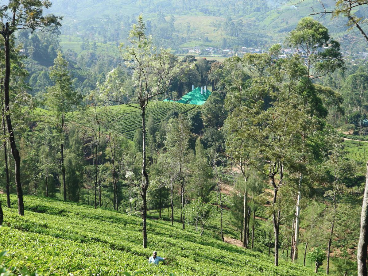 Royal Majesty Bungalow Hatton Luaran gambar